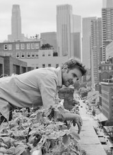 PHOTO 10 X15 CM 4X6 INCH