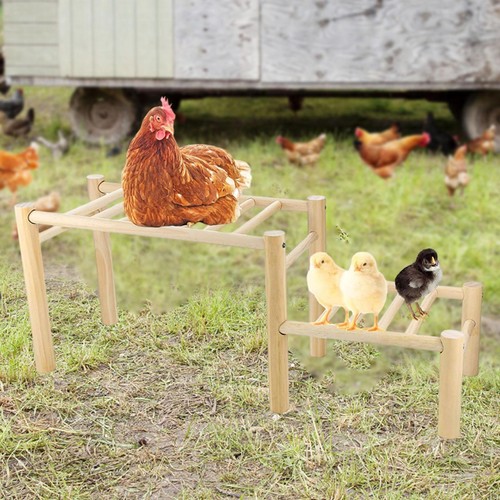 Perchoir poules pour - à,