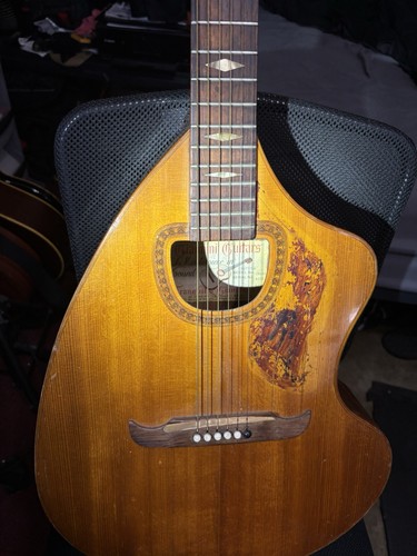 Giannini acoustic - giannini,