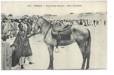 SENEGAL  DAKAR  PUR SANG MAURE AUX COURSES