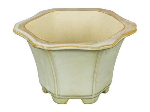 Pot bonsaï hexagonal en - bonsaï,