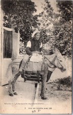 17 - Un ane en culotte avec