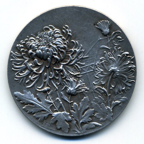Médaille argent lons - médaille, "
