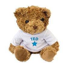 NOUVEAU - TED - Ourson En
