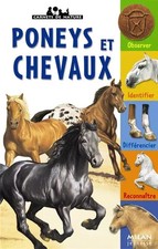 Les Poneys et chevaux, Gilles