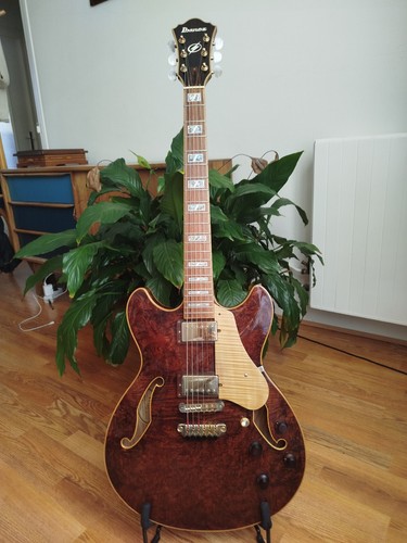 Guitare électrique ibanez - électrique,