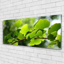 Impression sur verre acrylique Image tableau 125x50 Floral Feuilles Branche