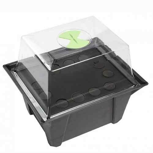 Stream propagator piante - propagator,