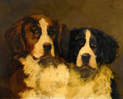 1800s saint bernard dog - 1800s,