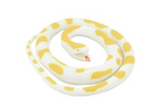 Albino Python Snake, Rubber