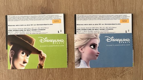Billets disneyland paris 1 - billets,