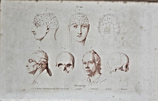 Gravure XIXe - PHRENOLOGIE -