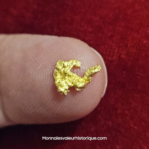Pépite naturelle - d'or,