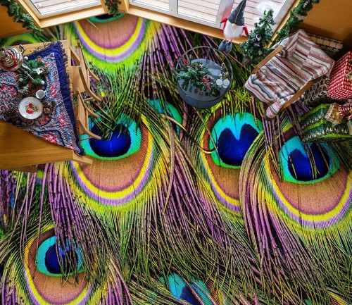 Plume paon 2007 na - de,