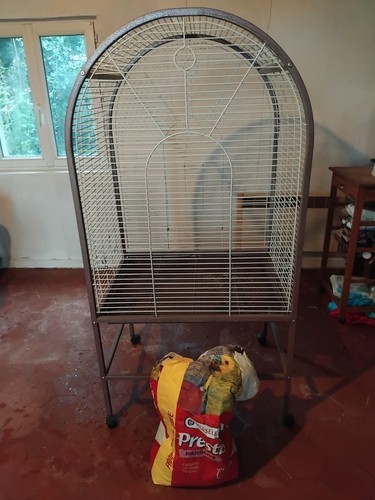 Cage oiseaux - oiseaux,