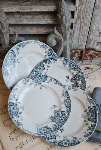 Anciennes assiettes plates - anciennes,