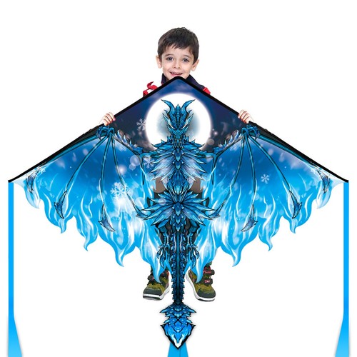 Cerfvolant dragon glacé pour - cerfvolant,