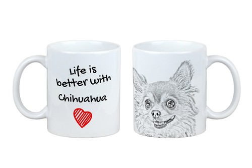 Chihuahua poil long - à,