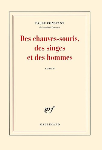Des chauves souris singes - des,