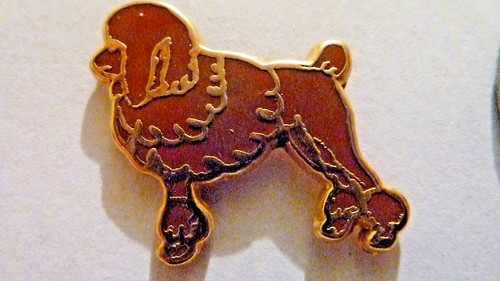 Pin chiens caniche - , /