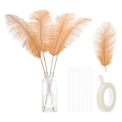 Pièces plumes autruche - 10,