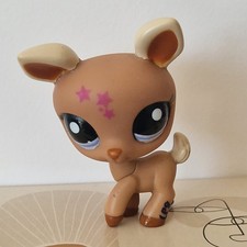  Little Petshop Pet Shop LPS