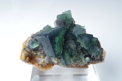Fluorite naughty gnome pocket - fluorite,