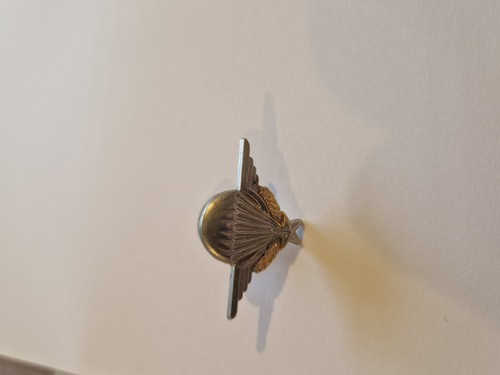 Pin parachutiste militaire - pin's,