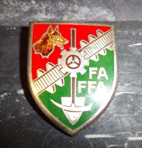 Insigne forces auxiliaires des - auxiliaires,