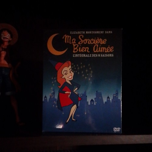 Sorciere bien aimee - bien,