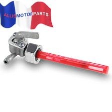 Robinet Essence M14*1 pour
