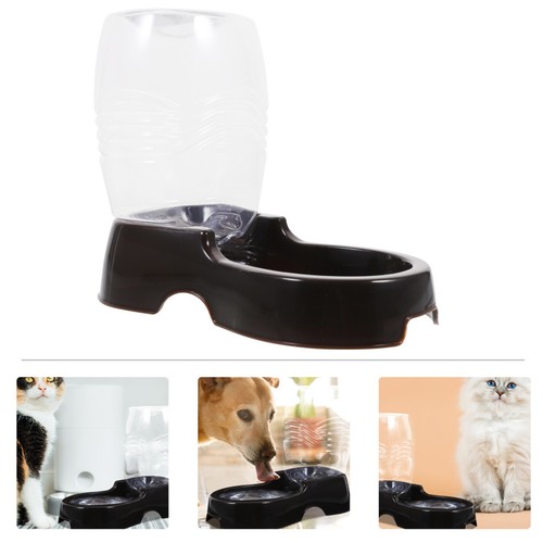 Fontaine eau pour - eau, chien