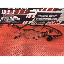 Faisceau électrique