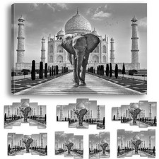 TABLEAU ELEPHANT TAJ MAHAL FELIN - IMPRESSION IMAGE 58 MODELES IMPRIMEE BW