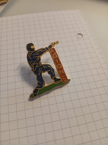 Pin gign police - pin's,