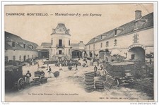 51 CHAMPAGNE MONTEBELLO /