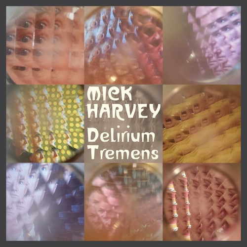 Mick harvey delirium - delirium, tremens