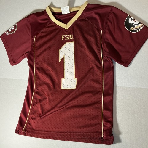 Florida state seminoles ncaa - florida,