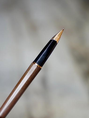 Stylo plume waterman - stylo,