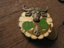 insigne   opex EFAO  BOUAR   LEGION ETRANGERE       ( classeur 9)