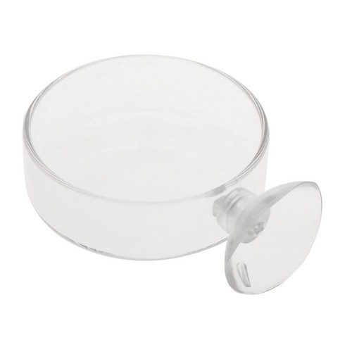 Crevette alimentation plat - crevette,