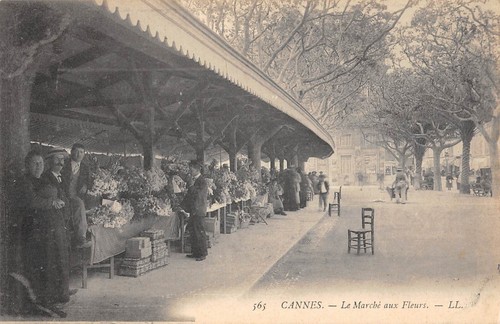 Cpa cannes le marche aux - /,