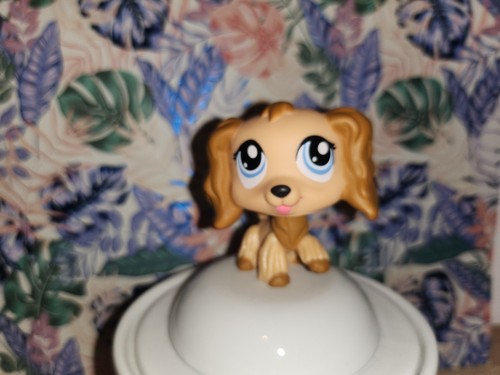 Littlest petshop cocker beige - petshop,,