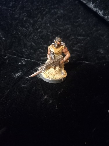 Chaos cultist dark vengeance - -,