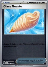 Carte Pokémon Dresseur Glace