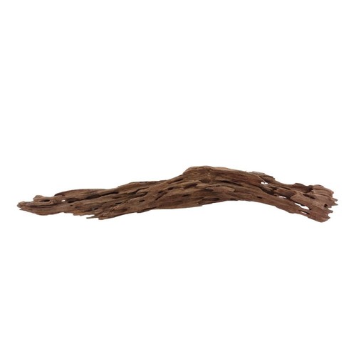 Honey peigne racine 1957 - xl,