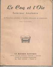 LE COQ ET L'OIE. La Maison