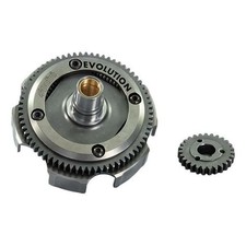 Rapports Primaires POLINI