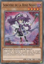 Yu-Gi-Oh! Sorcière de la Rose Noire : C LDS2-FR097