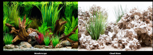 Poster fond aquarium - poster,